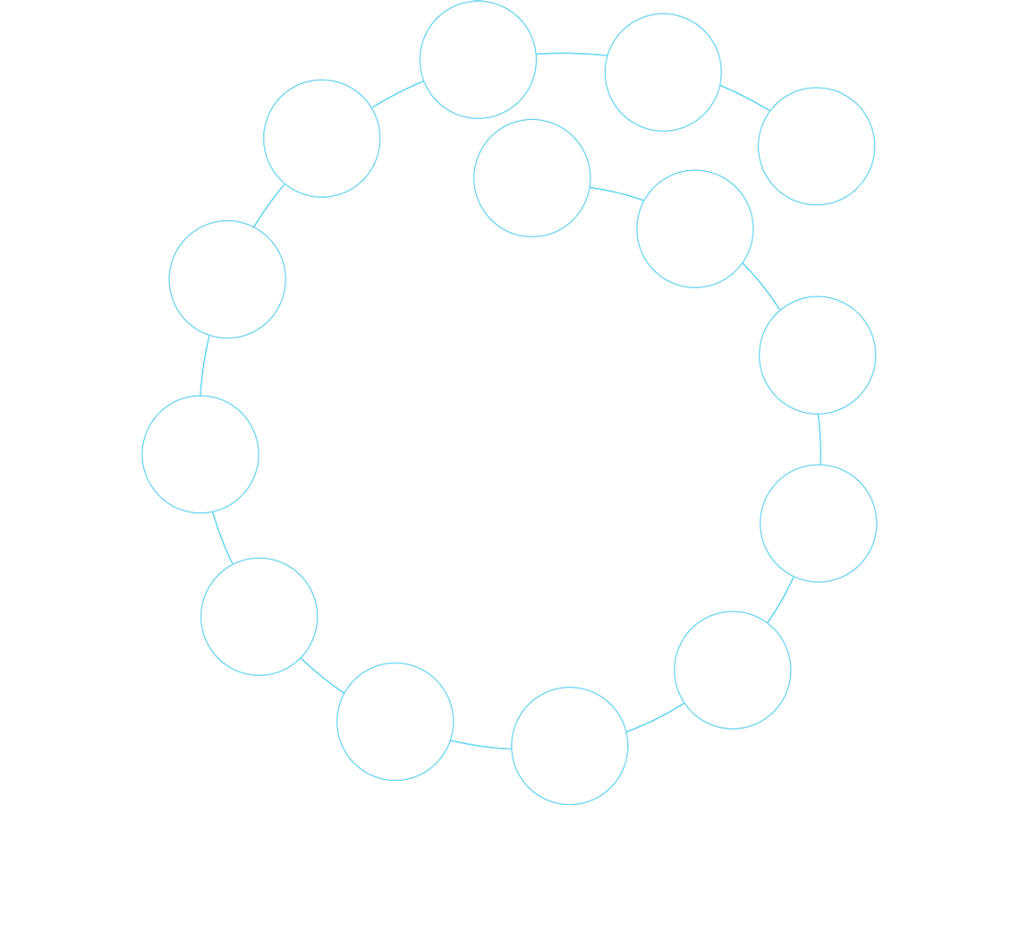 quattordici